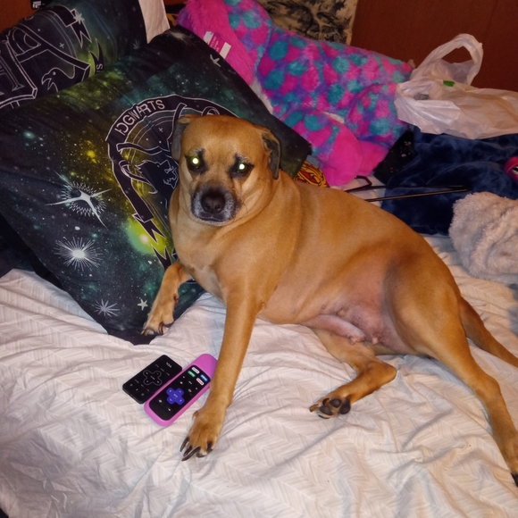 Meet your Posher, Michelle - Picture 9 of 16